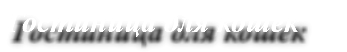 Гостиница для кошек